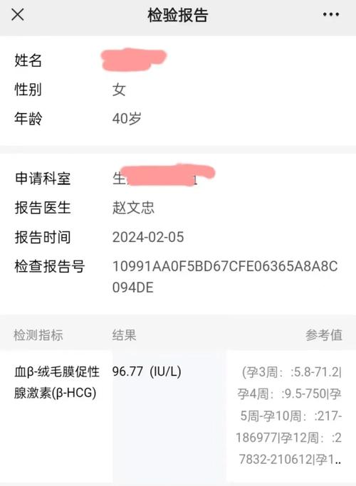 帮女人试管代怀犯法吗-帮女人试管代怀犯法吗:法律对试管代怀孕的规定解析