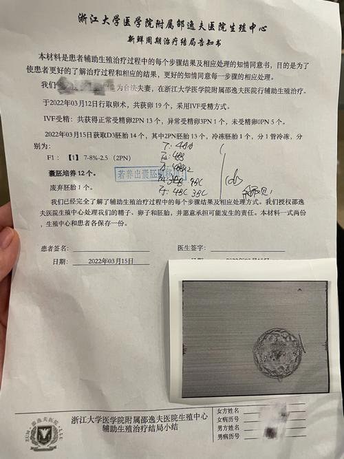 47岁试管成功(47岁试管成功:希望之光)