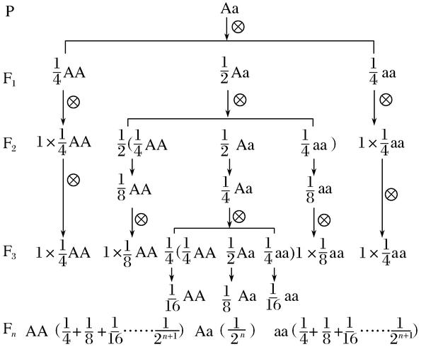 3aa是什么意思(3aa的含义是什么?)