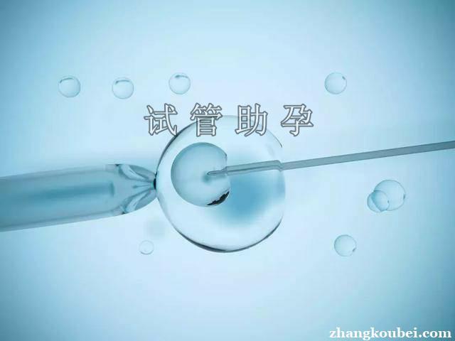 48岁借卵做试管成功率【48岁试管成功率:借卵助孕的中心】
